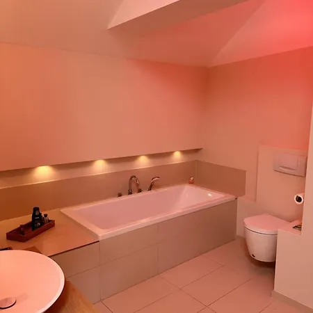 Located 1st-class Penthouse With 3 *