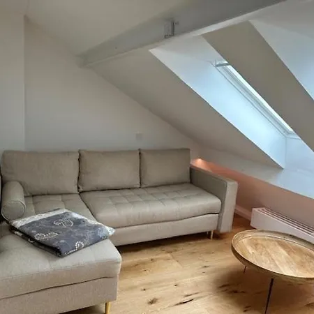 Located 1st-class Penthouse With 3 Appartement München